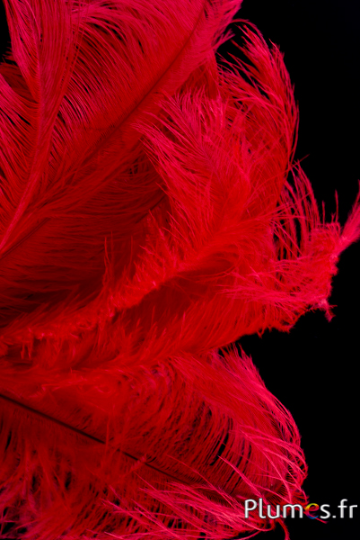 Autruche - 30-40 cm - rouge